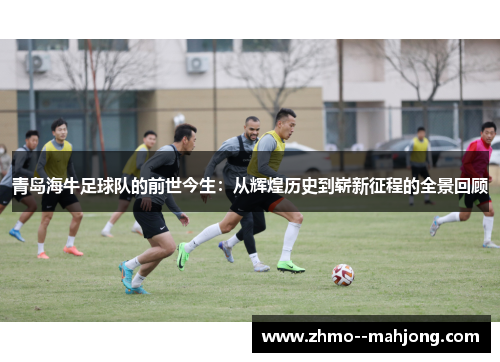 青岛海牛足球队的前世今生:从辉煌历史到崭新征程的全景回顾 青岛海牛足球队的前世今生:从辉煌历史到崭新征程的全景回顾