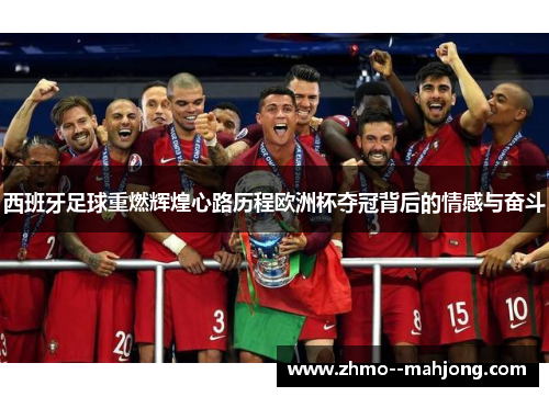 西班牙足球重燃辉煌心路历程欧洲杯夺冠背后的情感与奋斗