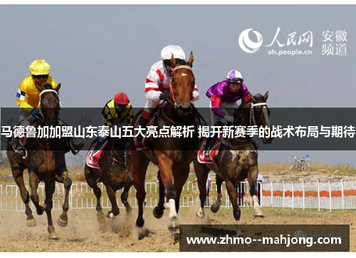 马德鲁加加盟山东泰山五大亮点解析 揭开新赛季的战术布局与期待