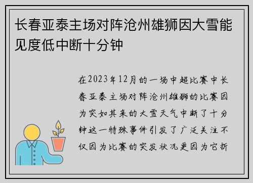 长春亚泰主场对阵沧州雄狮因大雪能见度低中断十分钟 长春亚泰主场对阵沧州雄狮因大雪能见度低中断十分钟
