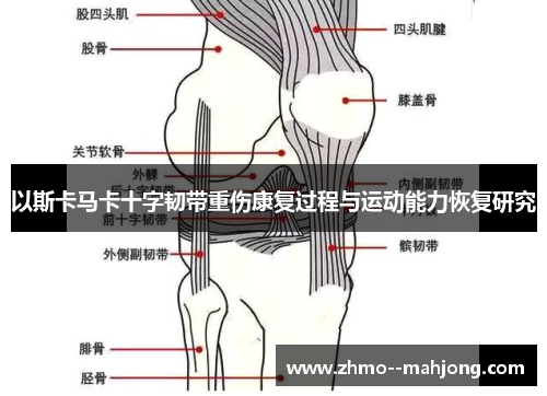 以斯卡马卡十字韧带重伤康复过程与运动能力恢复研究 以斯卡马卡十字韧带重伤康复过程与运动能力恢复研究