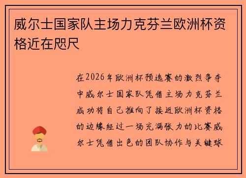 威尔士国家队主场力克芬兰欧洲杯资格近在咫尺