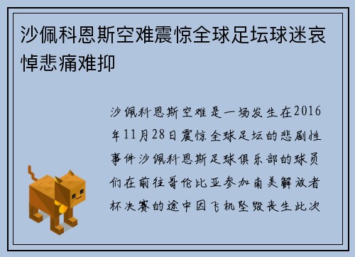 沙佩科恩斯空难震惊全球足坛球迷哀悼悲痛难抑 沙佩科恩斯空难震惊全球足坛球迷哀悼悲痛难抑