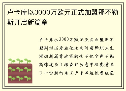 卢卡库以3000万欧元正式加盟那不勒斯开启新篇章